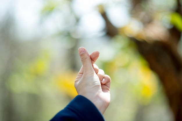 A hand that shows love to lovers on the day of love Love day With copy space