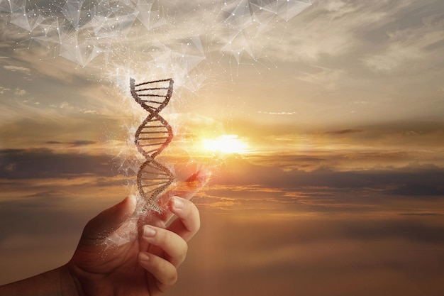 Hand toont DNA-molecuul op de achtergrond van een zonnige zonsondergang