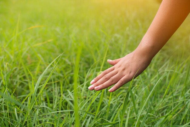 Touching the grass Stock Photo - Alamy