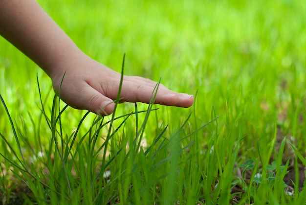 Hand touching grass hi-res stock photography and images - Alamy