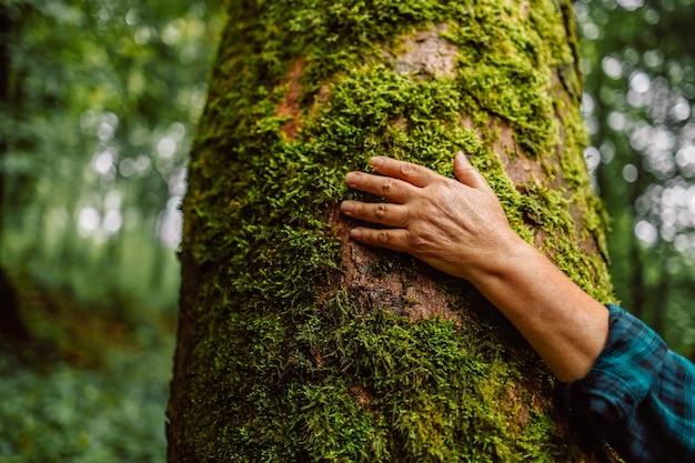 Hand touching a tree trunk in the forest Forest ecology Wild nature wild life Earth Day Traveler girl in a beautiful green forest Conservation ecology environment concept