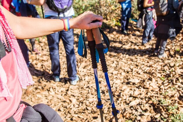 Hand Of An Unrecognizable Person Holding Hiking Poles. Anonymous Group Of Hikers.Outdoor Activities