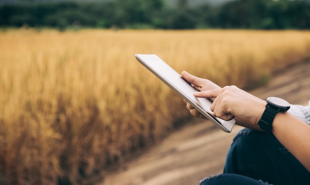 Hand van boerenaanraking op tabletscherm voor realtime zoeken naar tarweprijs op website en internet, landbouw en natuurconcept.