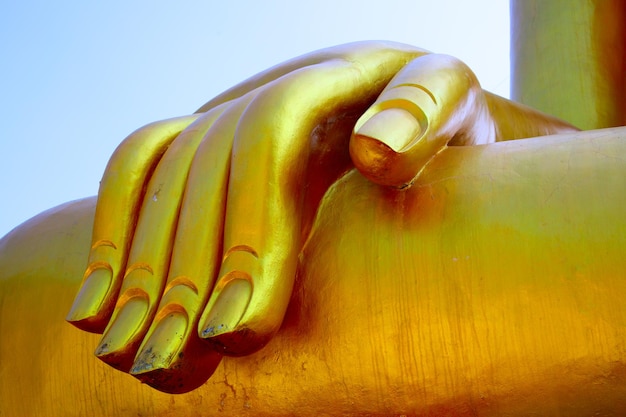 Hand van de Boeddha