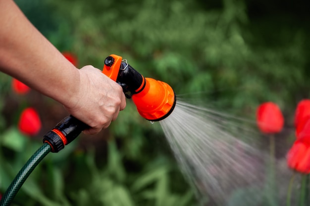 hand watering plants from the hose