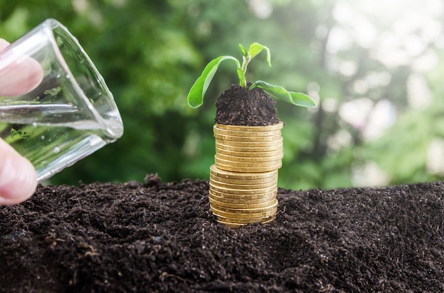 A hand waters a plant on a stack of coins