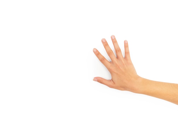 A hand on a white background