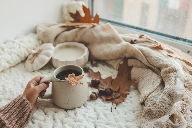 写真 お茶のカップを手に おはようコンセプト 秋の気分