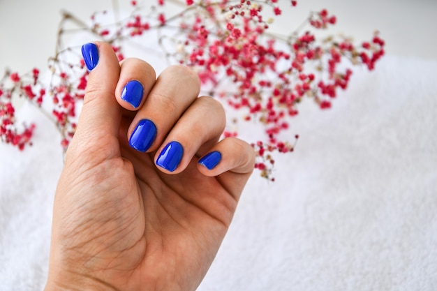 Hand with blue nails on dried flowers background. Female manicure. glamorous beautiful manicure. Winter or autumn manicure in blue. Fashionable Nail Gel Polish Color