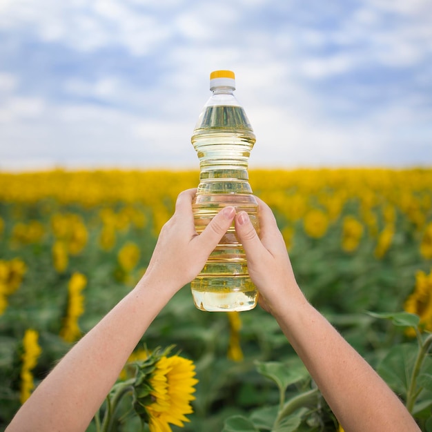 A hand with a bottle of golden sunflower oil raised up against the background of a field of blooming sunflowers in a sunny copy space