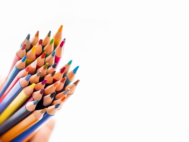 Hand with bunch of colorful pencils on white background