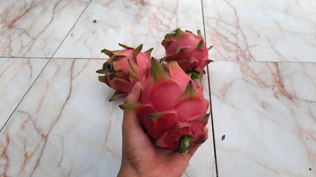 Hand with dragon fruit and 2 fruit behind it 02