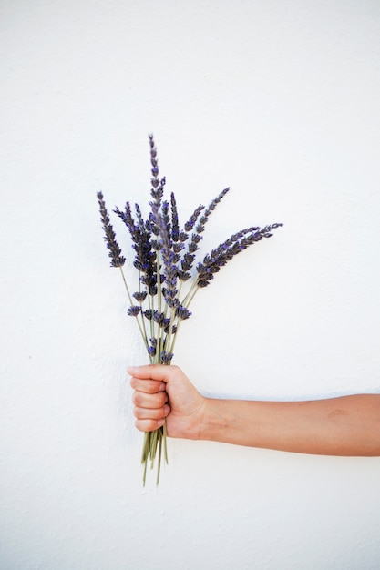 Hand with lavender