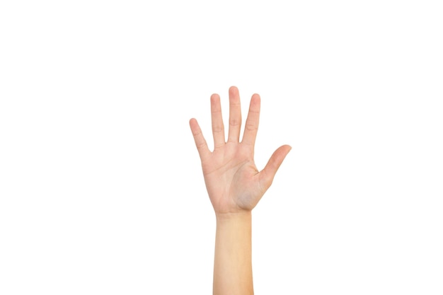 A hand with the palm up on a white background