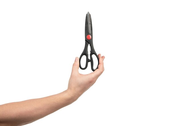 hand with scissor to cut isolated on white, hairdressing.