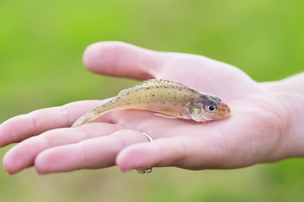 Hand with small fish