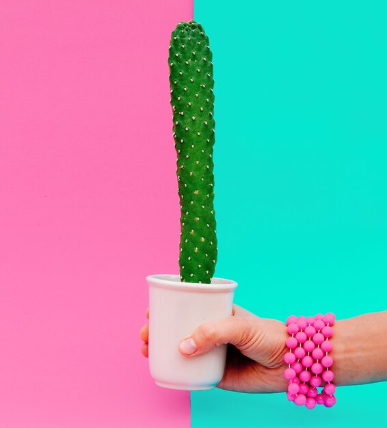 Hand with stylish accessories holds cactus. Candy minimal concept art