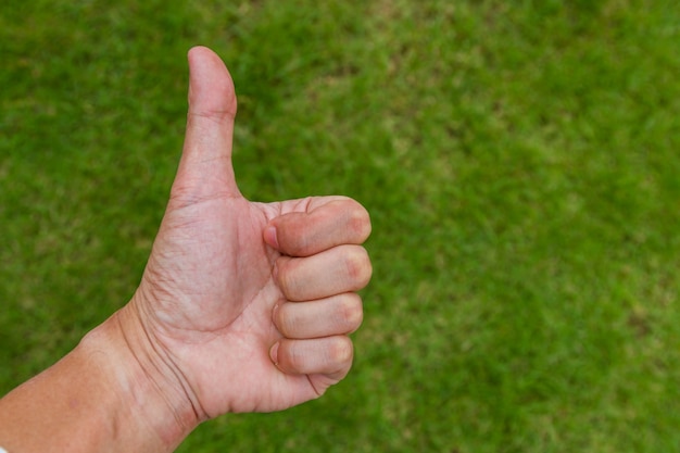 Hand with thumb up sign on green grass background