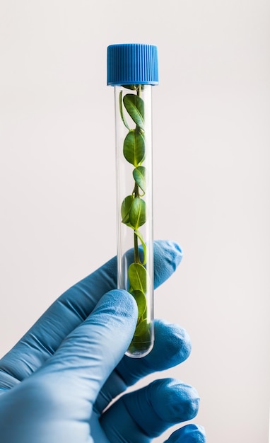 Hand with tube cannabis science background cbd chemical chemistry