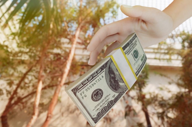 A hand with a wad of dollars against the background of the beach and trees 3D render