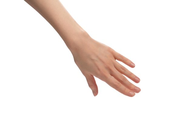 Photo hand of a woman isolated on a white background