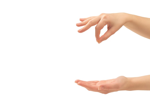 Hand of woman isolated on white