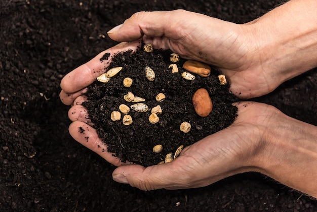 Hand wrapping soil with seeds mother earth vegetable garden concept earth day