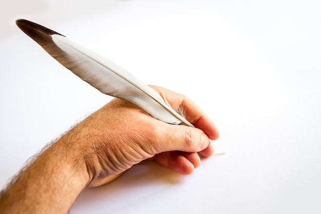 Scrittura a mano con una piuma di uccello isolata su sfondo bianco