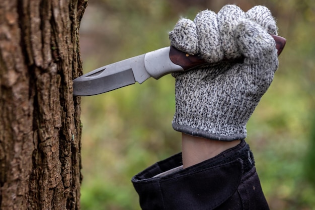 Photo hand of a young adventurer with a pocket knife in a tree trunk and cut-proof gloves