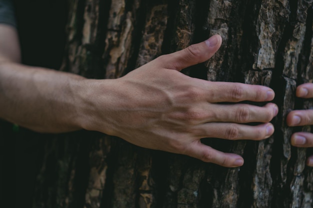 The hand of a young environmentalist man hugging a tree trunk