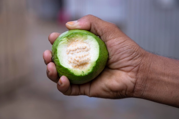 Handbeet van guavefruit met ondiepe scherptediepte