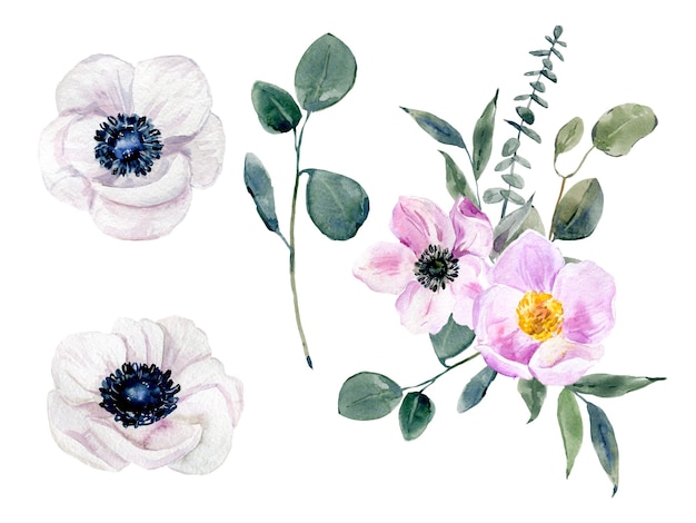 Handbeschilderd aquarel bloemen set anemonen en eucalyptus boeket Aquarel botanische illustratie