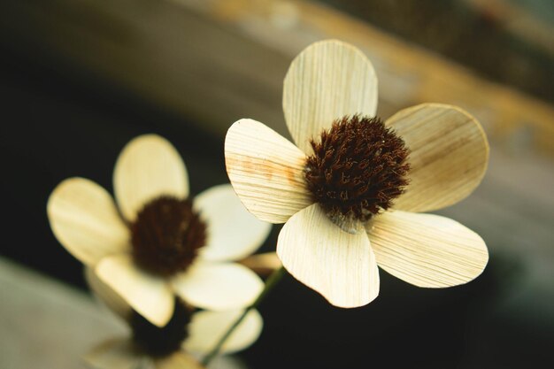 Foto fiori fatti a mano con materiali naturali per la decorazione domestica