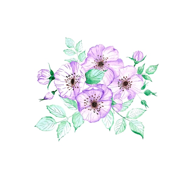 Handdrawn anemone composition Watercolor wind flower on white background Scrapbook design elements