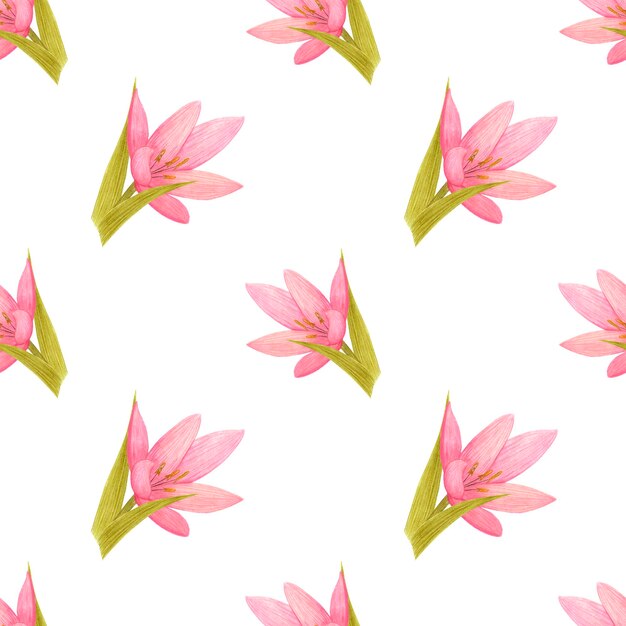 Handdrawn lily seamless pattern Watercolor pink lily with green leaves on white background textile