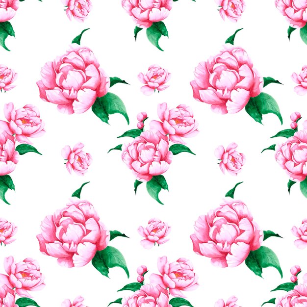 Handdrawn 모란 꽃 원활한 패턴 흰색 배경 섬유에 수채화 분홍색 모란