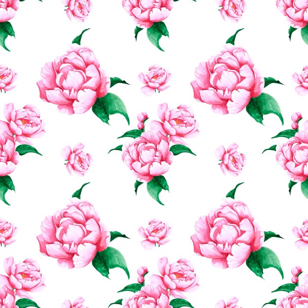 handdrawn peony flowers seamless pattern watercolor pink peony on white background textile
