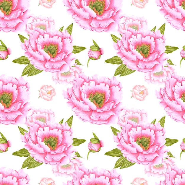 handdrawn peony flowers seamless pattern watercolor pink peony with green leaves on white background