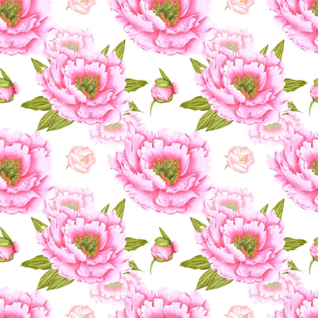 Photo handdrawn peony flowers seamless pattern watercolor pink peony with green leaves on white background