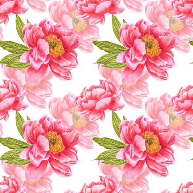 handdrawn peony flowers seamless pattern watercolor red peony with green leaves on white background