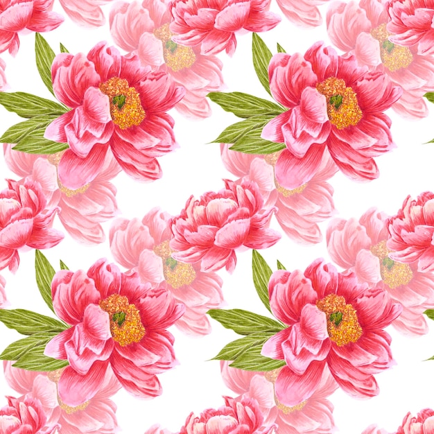 Handdrawn peony flowers seamless pattern Watercolor red peony with green leaves on white background