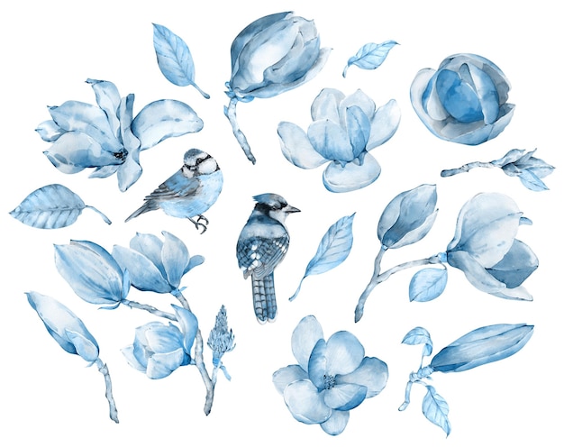 Handdrawn watercolor blue magnolia flowers and birds blue tit and jay bird Blue flowers and leaves clipart