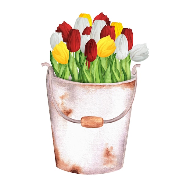 Handdrawn watercolor illustration rusty metal bucket with a bunch of colorful red white and yellow