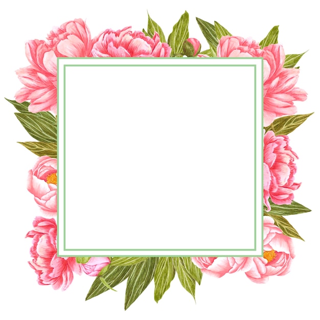 Handdrawn watercolor pink peony flowers frame with green leaves\
and buds on the white background scrapbook design wedding\
invitation label banner post card