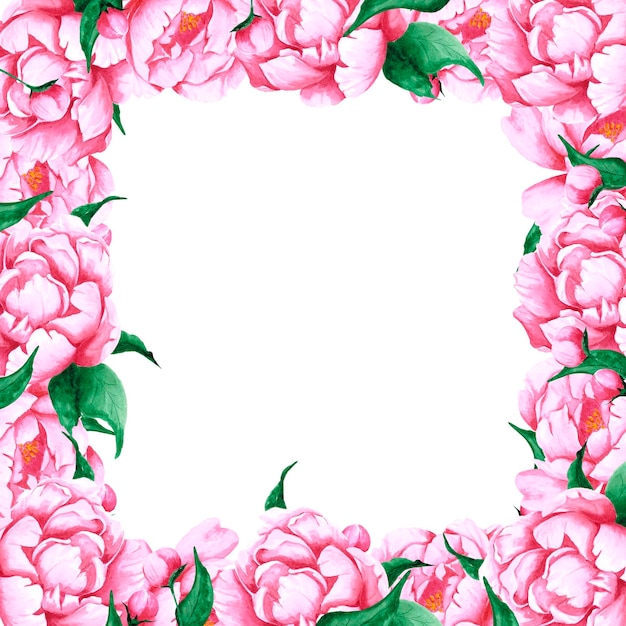 手描きの水彩ピンクの牡丹の花フレーム、白い背景の上の緑の葉とつぼみ