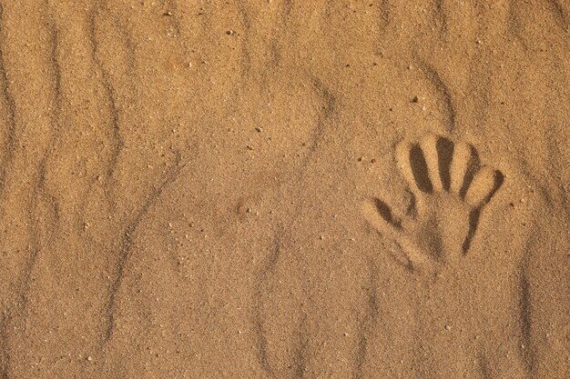 handdruk op het zand close-up van een handdruk in de zandzee op het strand kopieer ruimte