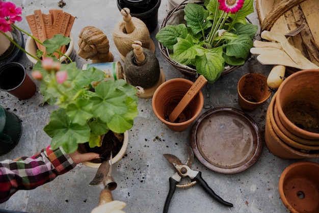 Handen die bloem in een pot planten