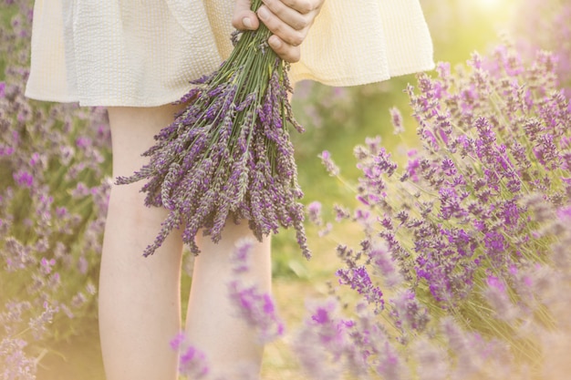 Foto handen die boeket van lavendelbloemen houden