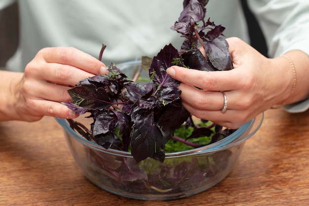 Foto handen die salade bereiden, de basiliekruiden sorteren, kruiden in de keuken.