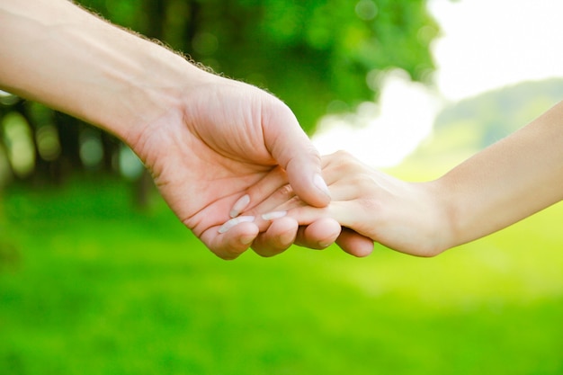 Handen Gelukkige ouders en kind buiten in het park